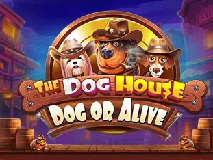 The Dog House - Dog or Alive screenshot