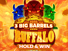 3 Big Barrels Buffalo screenshot