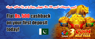 100% خوش آمدید بونس promotion banner